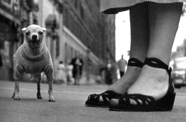 Elliott Erwitt, ‘New York City’, 1946, Atlas Gallery