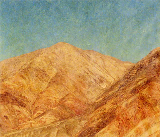 Lisa Barnard, ‘Santa Filomena, Andes, Peru’, 2016, Flowers