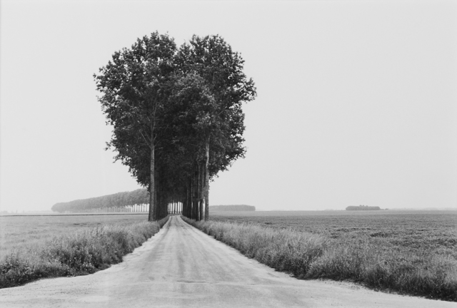 Henri Cartier-Bresson, ‘Brie’, 1968, Photography, Gelatin silver print (framed, printed ca. 1990), Rago/Wright