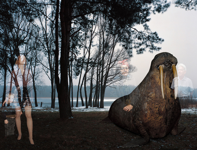 Oleg Kulik, ‘Windows Series - Walrus’, 2000-2001, Léna & Roselli Gallery