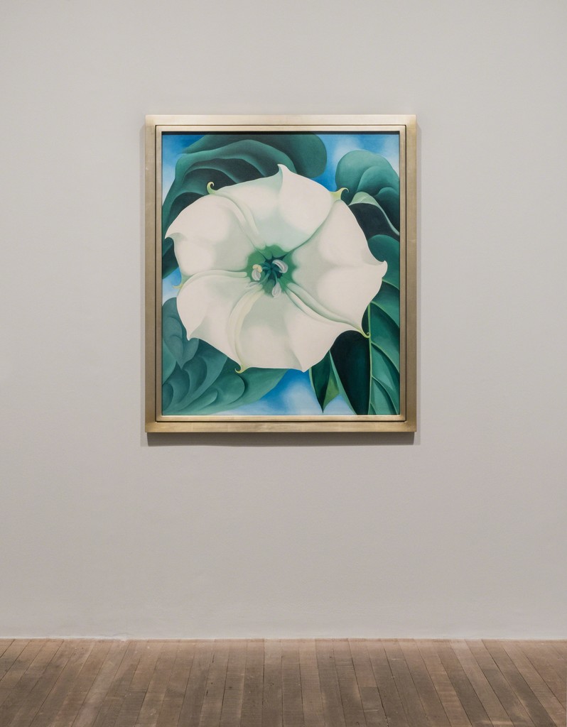 Installation shots from the Georgia O’Keeffe exhibition at Tate Modern. Georgia O’Keeffe, Jimson Weed/White Flowers No. 1 1932. Photograph courtesy Tate Photography Installation shots from the Georgia O’Keeffe exhibition at Tate Modern. Georgia O’Keeffe, Jimson Weed/White Flowers No. 1 1932. Photograph courtesy Tate Photography