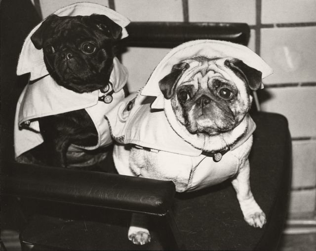Andy Warhol, ‘Dogs in Raincoats’, ca. 1985, Christie's Warhol Sale