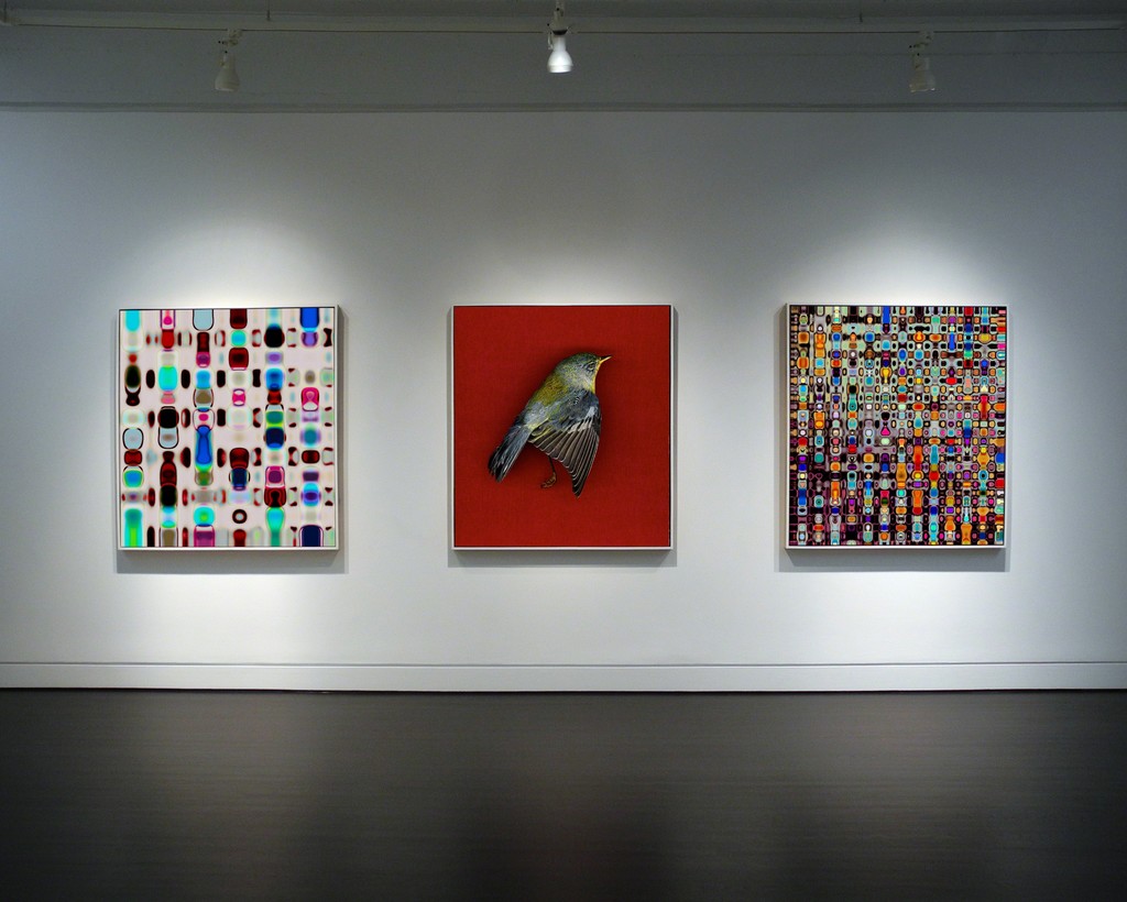 Colby Caldwell: how to survive your own death, January 16, 2016 - March 05, 2016, HEMPHILL Fine Arts Colby Caldwell: how to survive your own death, January 16, 2016 - March 05, 2016, HEMPHILL Fine Arts