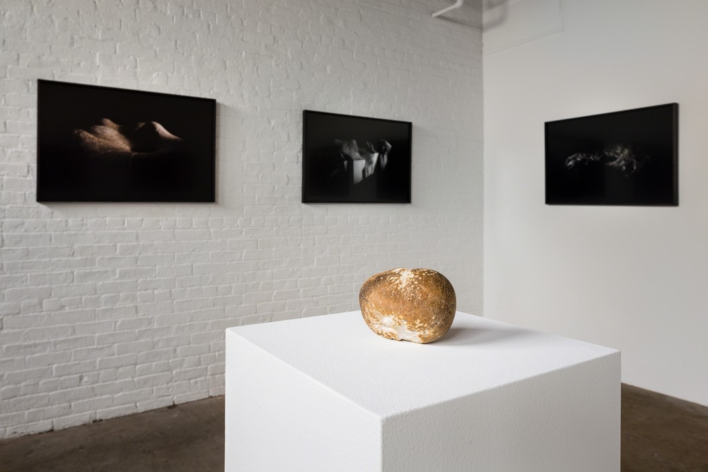 Installation view, Leah Raintree, Another Land: After Noguchi, August 10, 2016–January 8, 2017. Photo: Nicholas Knight / © The Isamu Noguchi Foundation and Garden Museum, NY. Installation view, Leah Raintree, Another Land: After Noguchi, August 10, 2016–January 8, 2017. Photo: Nicholas Knight / © The Isamu Noguchi Foundation and Garden Museum, NY.