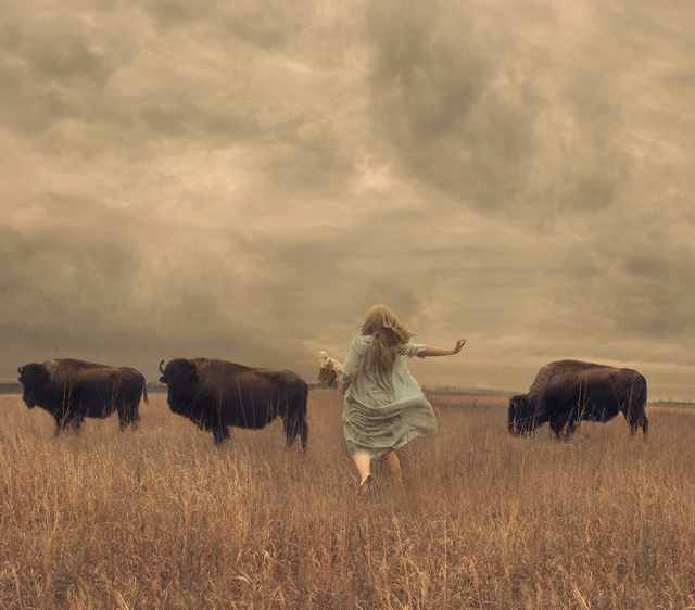 Brooke Golightly, ‘taking the heart of all that we are’, 2020, Photography, Photo on Board with Resin, M.A. Doran Gallery
