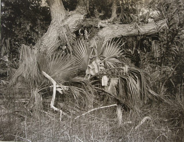 Mark Ruwedel, ‘LA River/Glendale Narrows #42’, 2016, Photography, Gelatin silver print dry-mounted to archival board, Gallery Luisotti