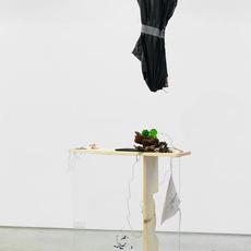 Ryan Foerster & Hanna Buonaguro