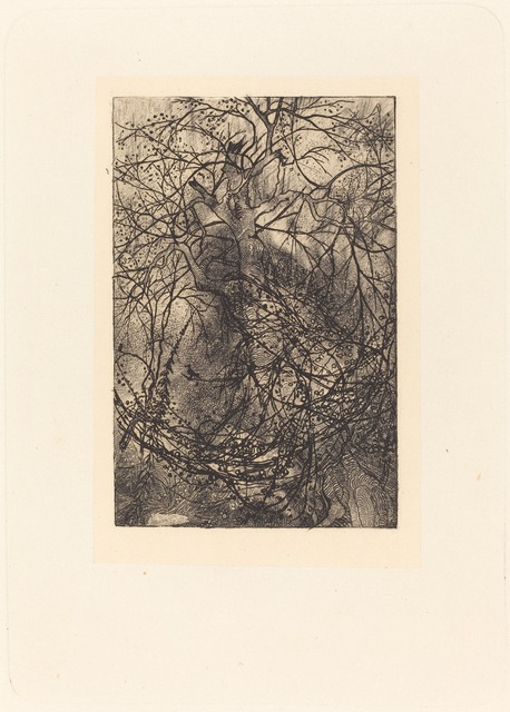 Rodolphe Bresdin