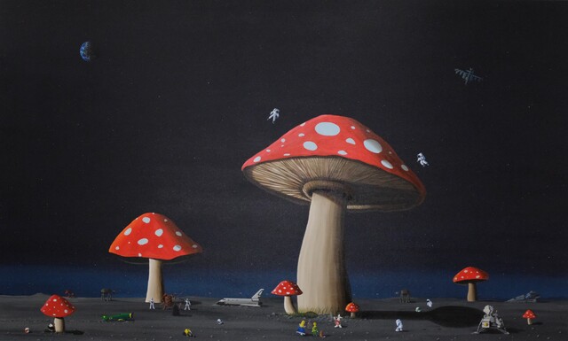 The Little Prince in Wonderland