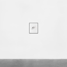 Pablo Soler Frost