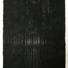 Magnus Petersson