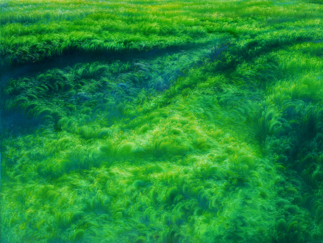 Jin-wook Yeom, ‘Memory of Mountain’, 2012, Painting, Oil on canvas, Gallery LEE & BAE