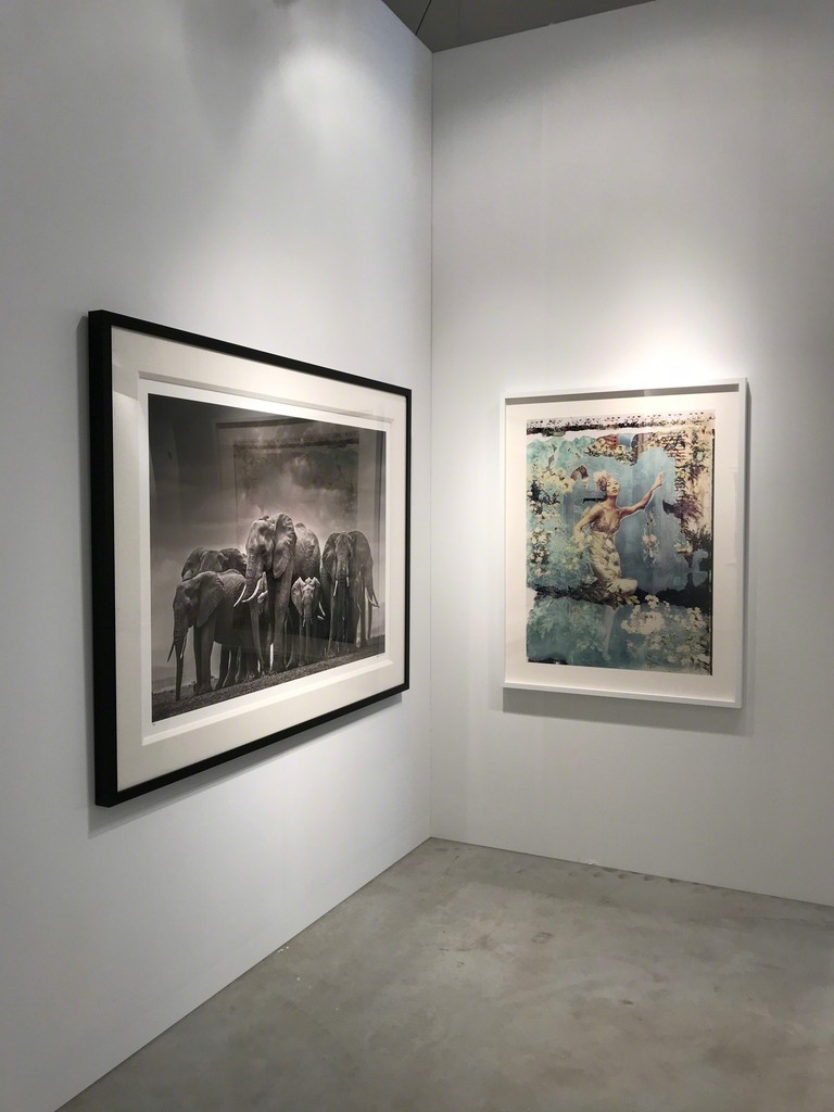 David Yarrow's "Circle of Life II, Amboseli, Kenya", Cathleen Naundorf's "An Ordinary Day, Valentino - Haute Couture, Summer 2008" David Yarrow's "Circle of Life II, Amboseli, Kenya", Cathleen Naundorf's "An Ordinary Day, Valentino - Haute Couture, Summer 2008"