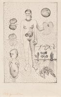 The Miscarriage (Frida and the Miscarriage)