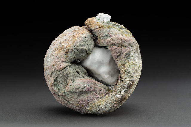 Ashwini Bhat, ‘Garden of Earthy Delights’, 2019, Cavin-Morris Gallery