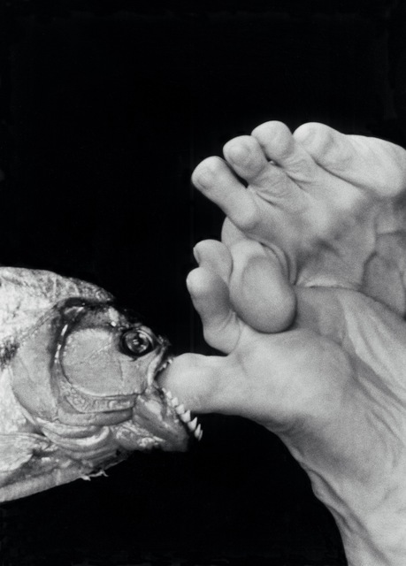 Linda Lieberman, ‘Ouch’, 2006, Photography, Silver Gelitine Print, Siger Gallery