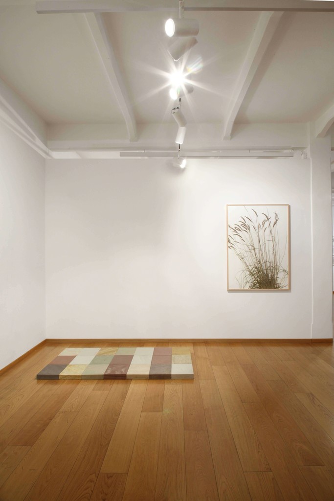 Photo by Bruno Bani
Courtesy Cortesi Gallery London, Milano, Lugano Photo by Bruno Bani
Courtesy Cortesi Gallery London, Milano, Lugano