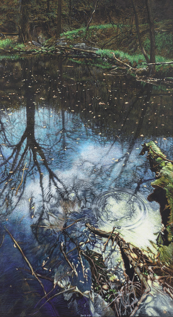 Myong Hi Kim, ‘Spring’, 2013, Painting, Oil pastel on chalkboard, Art Projects International