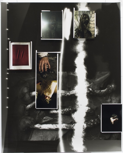 Fabian Marti, ‘Tentacle Series (étant donné)’, 2016, Wilde