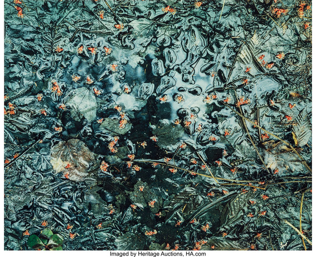 Eliot Porter, ‘Portfolio One: The Seasons (five of the original twelve photographs)’, 1963, Photography, Dye transfer, Heritage Auctions