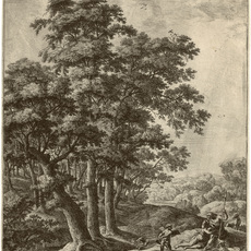 ANTONI WATERLOO