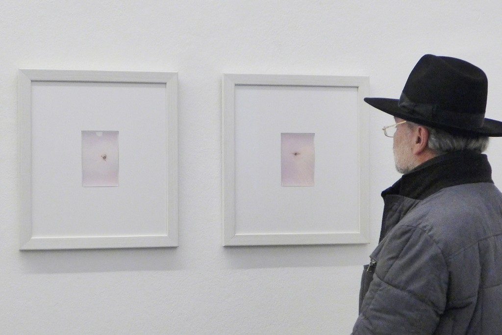 installation view BLACK MAGIC, 2017
on view: Marta Djourina installation view BLACK MAGIC, 2017
on view: Marta Djourina