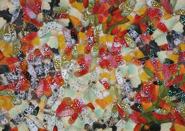 Nathalia Edenmont, ‘Meditation’, 2011, Nancy Hoffman Gallery