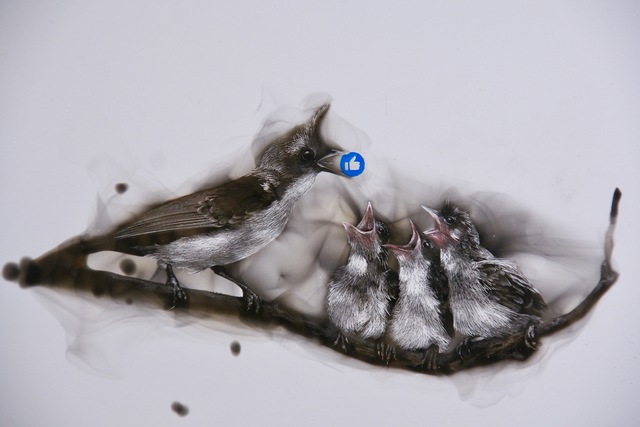 Steven Spazuk, ‘Feeding Likes’, 2017, Adelson Galleries