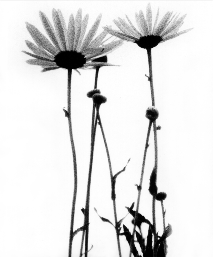 Www Artsy Net Artwork Haji Chilonga Hectic Day D32dm0rphc51dk Cloudfront Net Gt0kiywpmk7so Tghparfw Larger Jpg Hectic Day Hectic Day Is A Work Of Art Created By Haji Chilonga In 17 Www Artsy Net Artwork Margot Armand