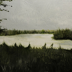 Peggy Wauters