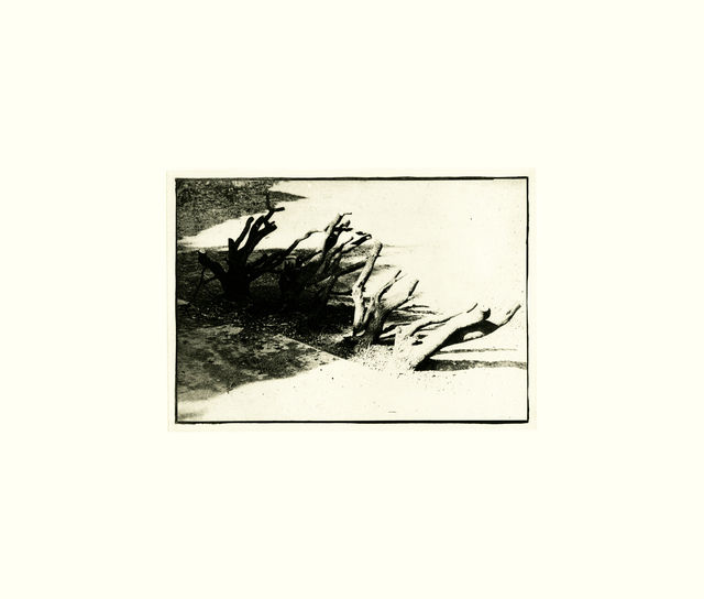 David Lynch, ‘Untitled VI’, 1999, Tandem Press
