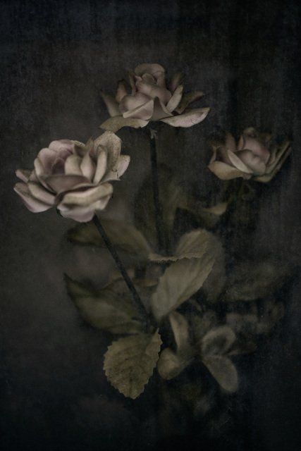 Christopher Thomas, ‘Eternity 001’, 2005, Ira Stehmann Fine Art Photography