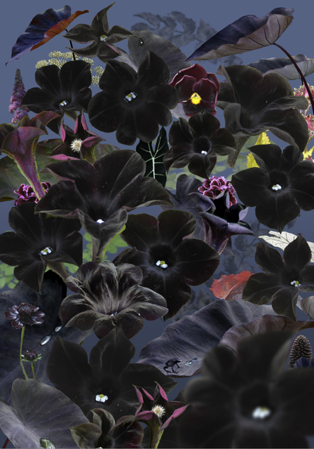 Ruud Van Empel, ‘Floresta Negra #1’, 2018, Huxley-Parlour