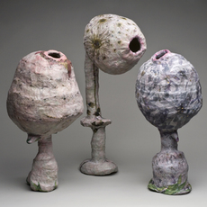 Susan Nemeth