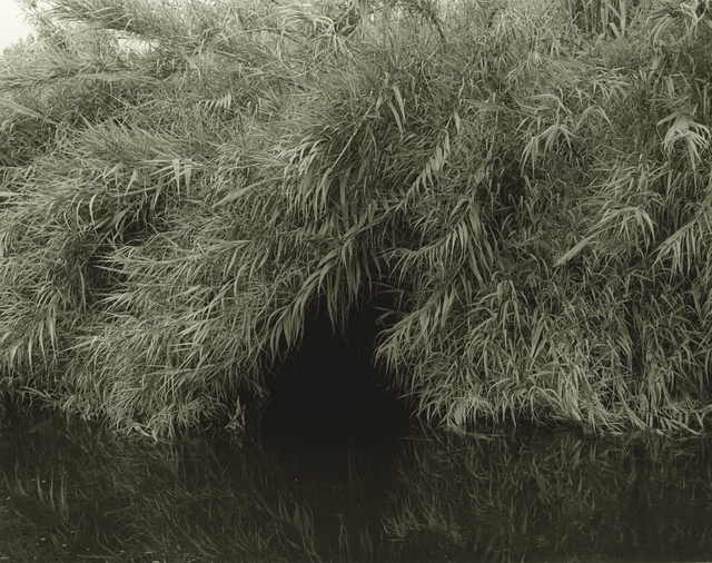 Mark Ruwedel, ‘LA River/Glendale Narrows #18’, 2015, Photography, Gelatin silver print dry-mounted to archival board, Gallery Luisotti