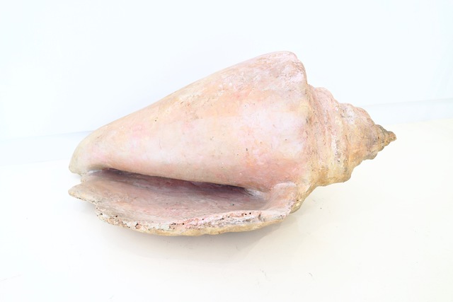 Ming Fay 費明杰, ‘Pink Conch’, 1984, Sapar Contemporary