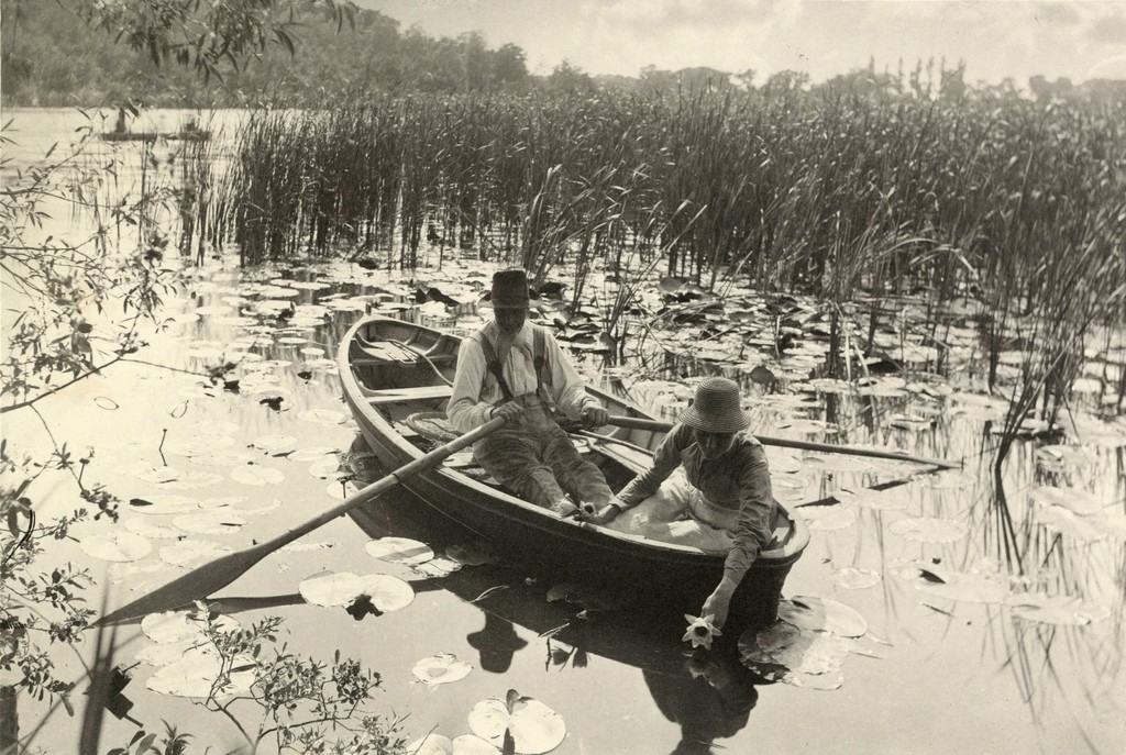 Peter Henry Emerson. Gathering Water Lilies, 1885, Platinum print. 7 7/8 x 11 3/8 inches. Collection of Michael Mattis and Judy Hochberg. Peter Henry Emerson. Gathering Water Lilies, 1885, Platinum print. 7 7/8 x 11 3/8 inches. Collection of Michael Mattis and Judy Hochberg.