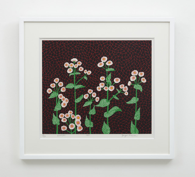 Yayoi Kusama, ‘Flowers (2)’, 1985, IKON Ltd. Contemporary Art