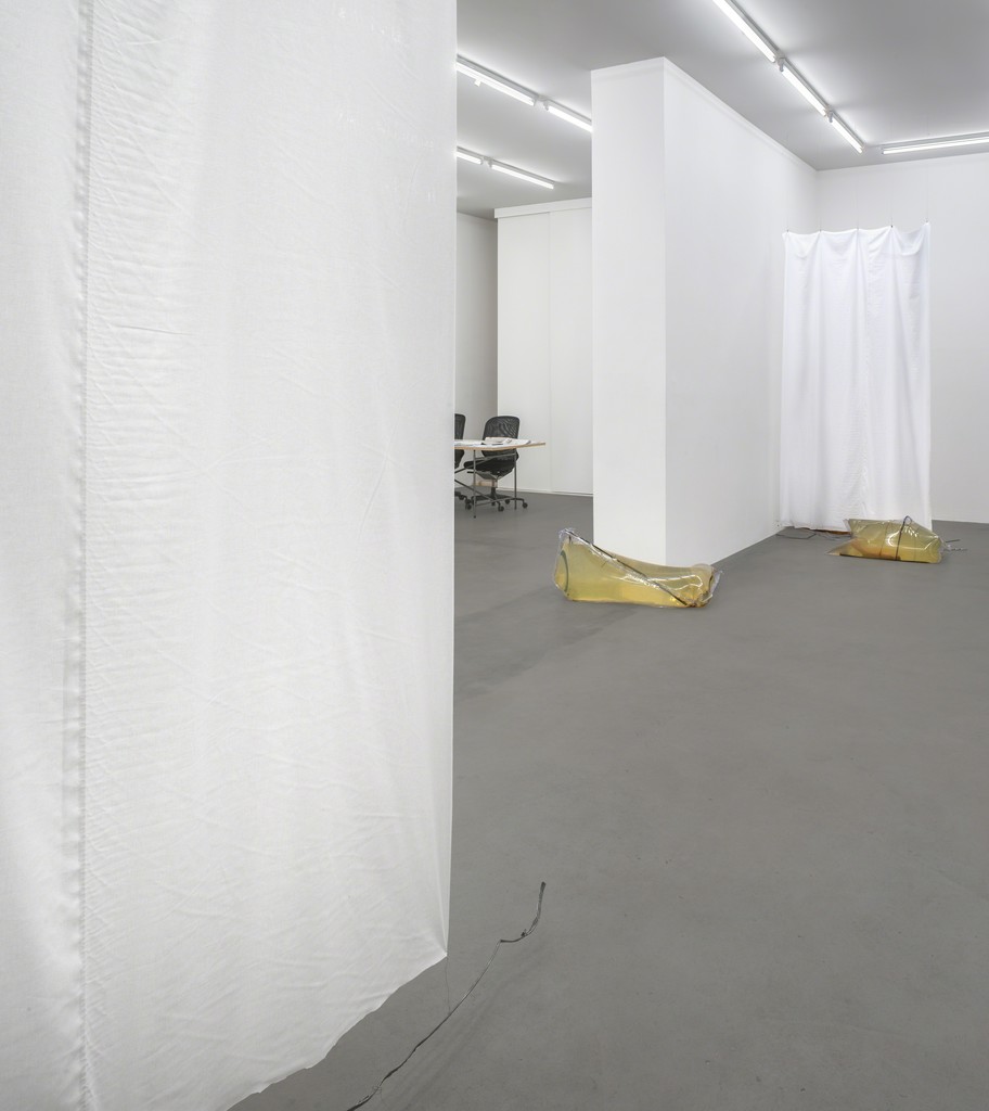 Installation view, Cannibals, 2015, Photocredit Joachim Schulz, Courtesy Croy Nielsen Installation view, Cannibals, 2015, Photocredit Joachim Schulz, Courtesy Croy Nielsen