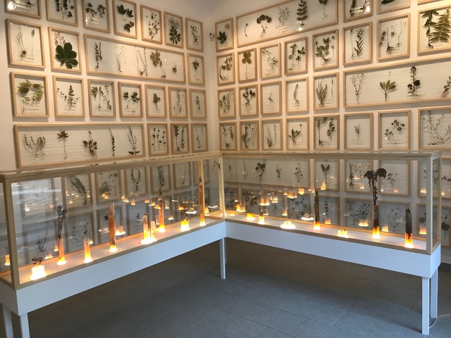 Jernej Forbici, ‘HERBARIUM, AURI SACRA FAMES - Installation’, 2017, Galleria Punto Sull'Arte