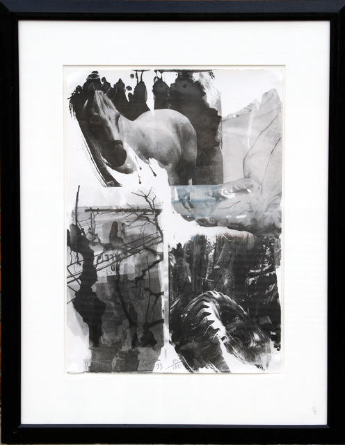 Robert Rauschenberg, ‘Horse Silk from the Night Sights Series’, 1993, RoGallery