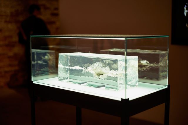The Propeller Group, ‘The AK-47 vs the M16 (Installation view)’, 2015, 56th Venice Biennale