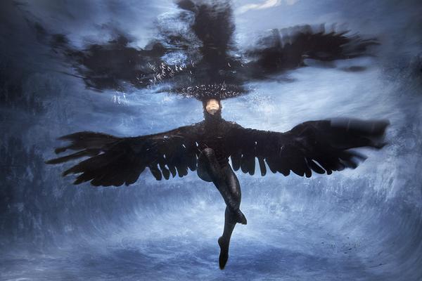 Barbara Cole, ‘Raven, from Le Petit Prince for National Ballet of Canada’, 2016, Bau-Xi Gallery