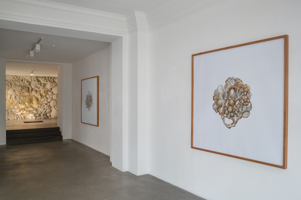 Installation view, Viktoria Strecker, Aorist, Engelage & Lieder, 2018 Installation view, Viktoria Strecker, Aorist, Engelage & Lieder, 2018