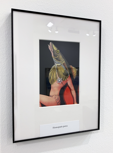 Charles P. Reay, ‘Homoparis Ramphastos’, 2018, Drawing, Collage or other Work on Paper, Collages on paper, Bruno David Gallery
