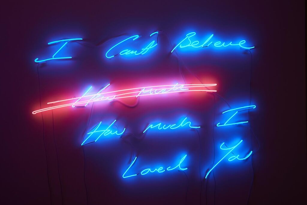Tracey Emin - I can't Believe (how much) How much I Loved You