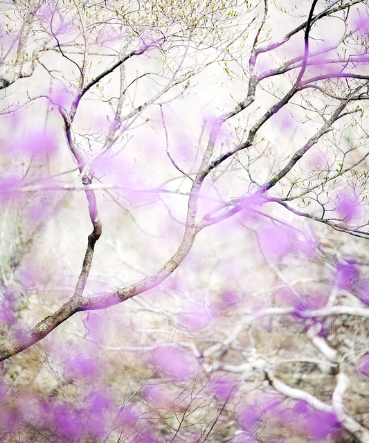 Susan Wides, ‘May 4, 2015’, 2015, Madelyn Jordon Fine Art
