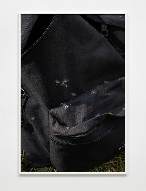 Paul Hutchinson, ‘Eastpak, dandelion seeds’, 2020, Photography, Inkjet print, Sies + Höke