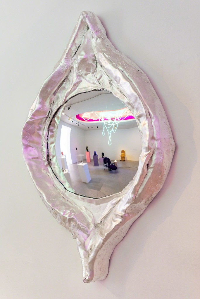 Surveillance Mirror Vaginis Surveillance Mirror Vaginis
