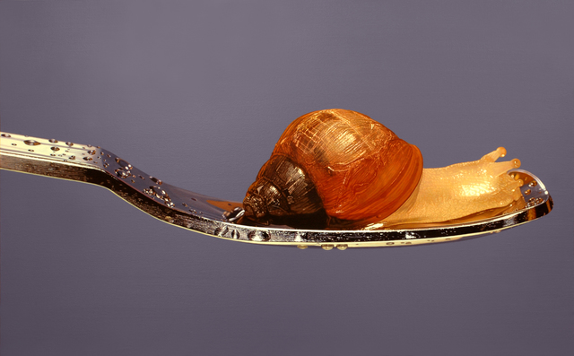 Young-Sung Kim, ‘Nothing.Life.Object (Snail on Spoon)’, 2015, Painting, Oil on canvas, Plus One Gallery
